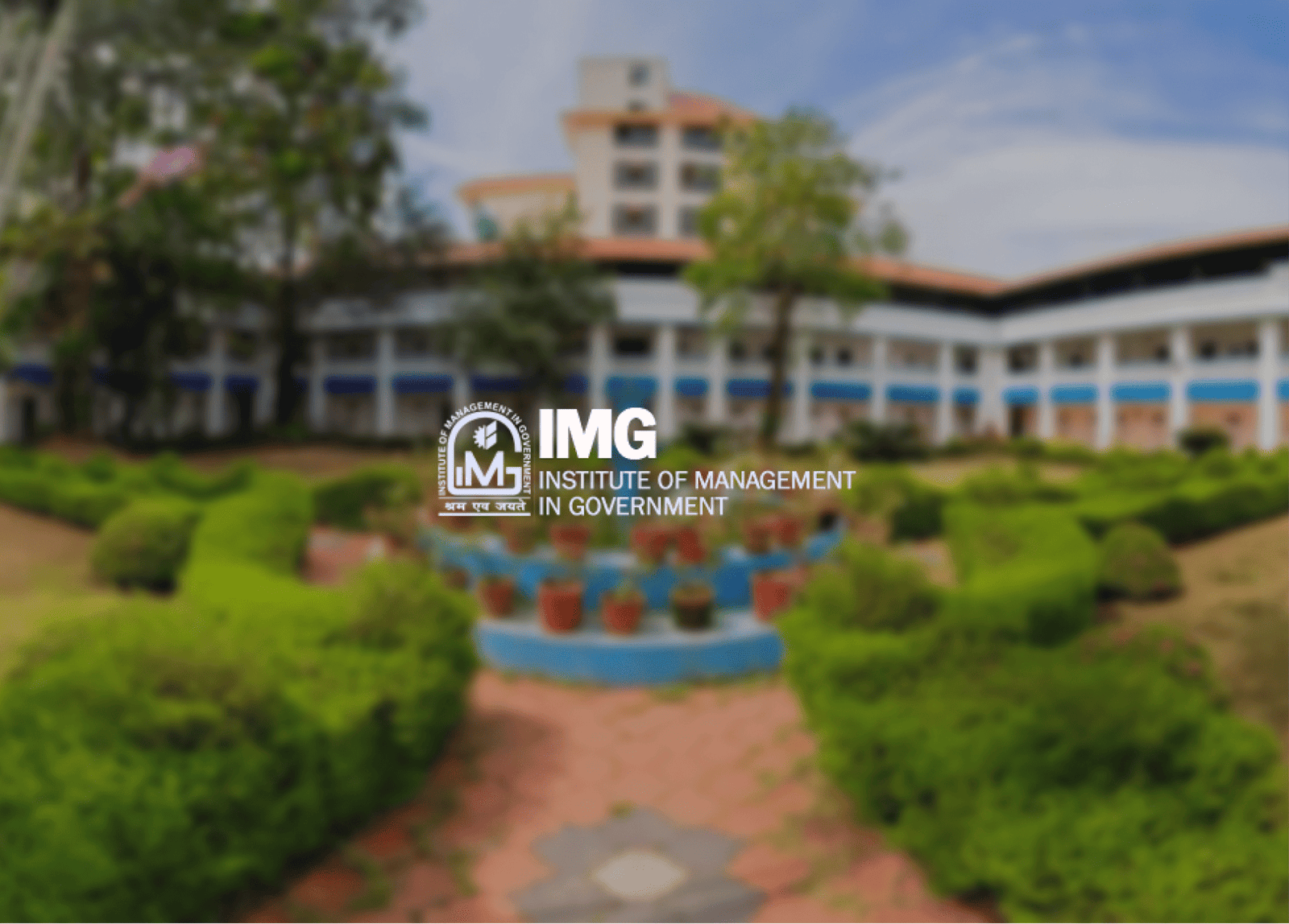 management in government